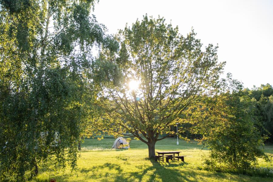 Prague - Praha - Airport — Prague - Praha - Airport campground nature