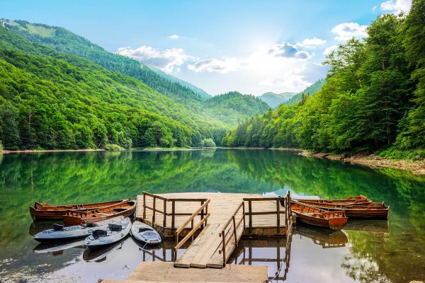 Podgorica - Airport — Podgorica - Airport campground nature