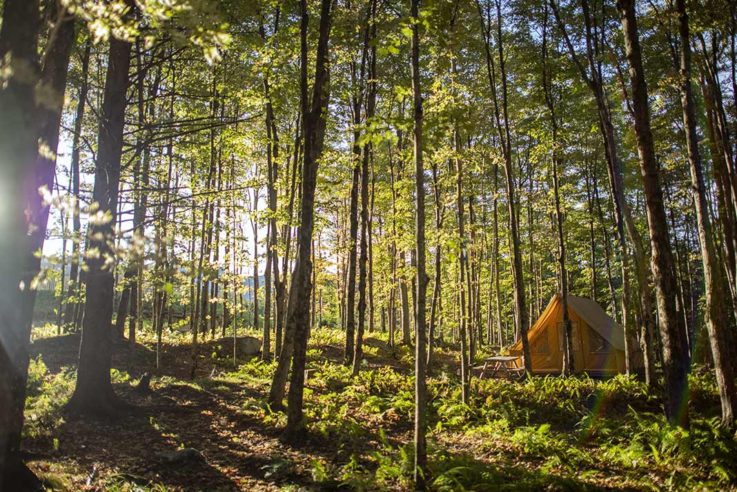 Montreal — Montreal campground nature