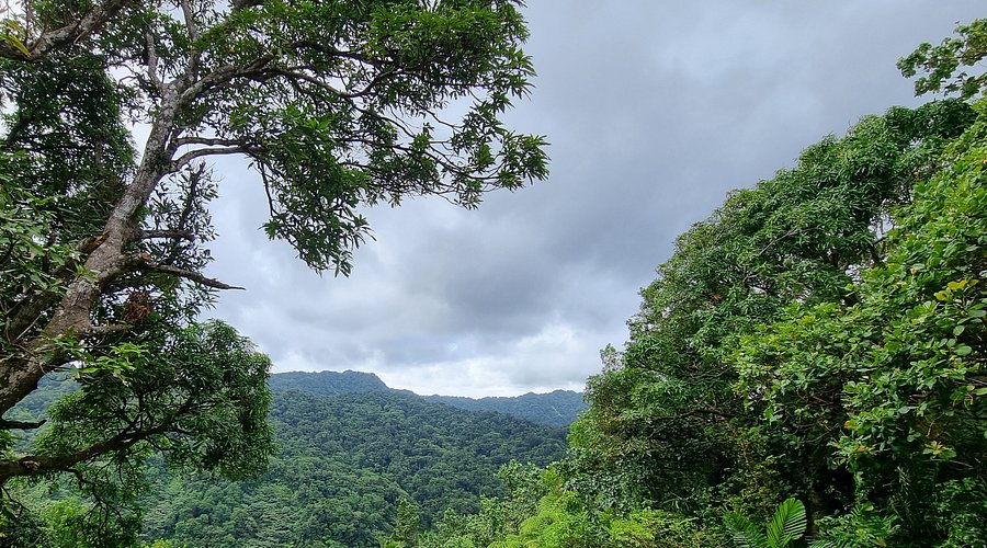 Millet — natura na kempingu w Millet