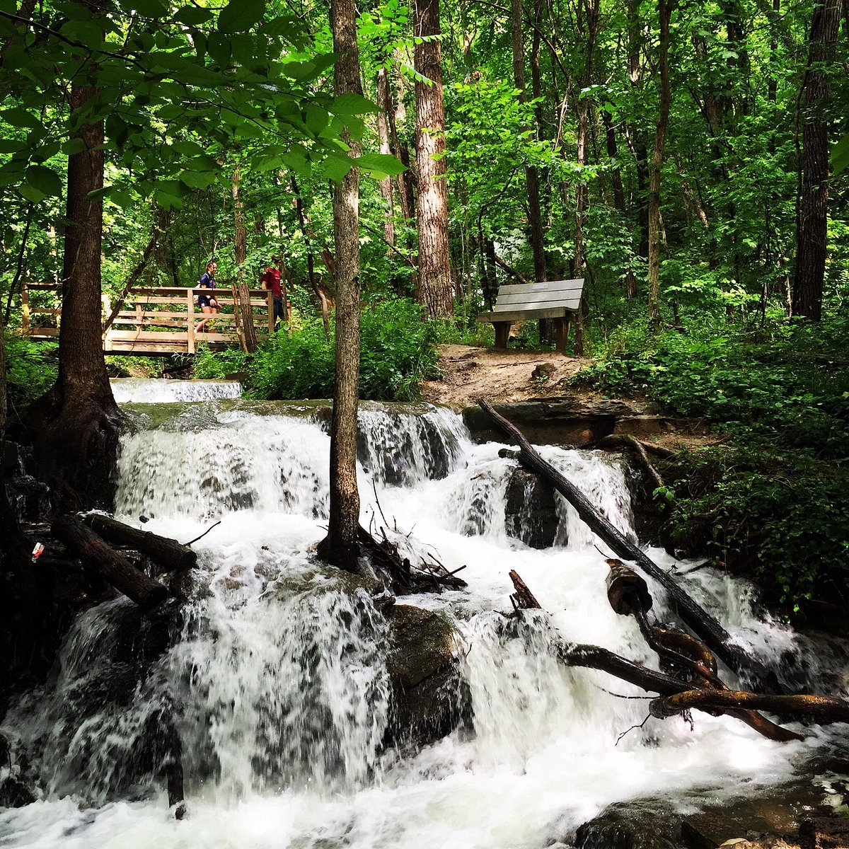 Saint Janvier — Saint Janvier campground nature
