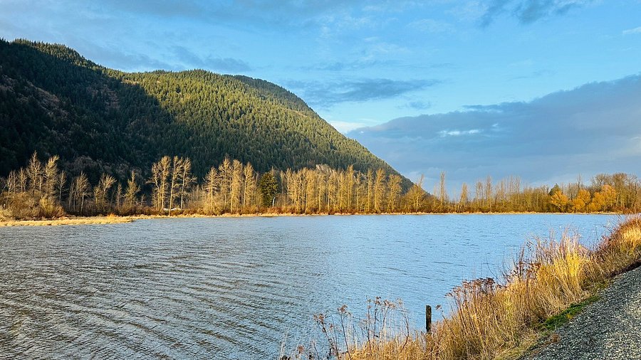Abbotsford — Abbotsford campground nature