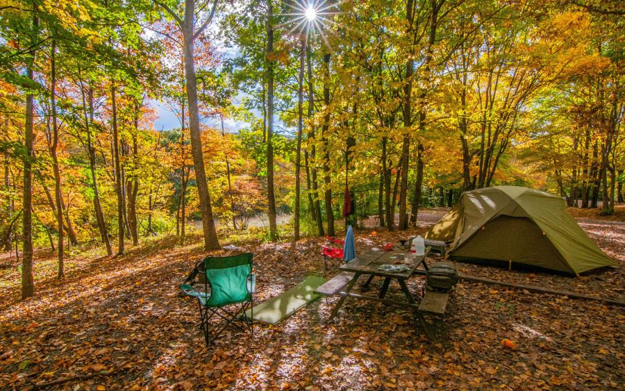 Limassol — Limassol campground nature