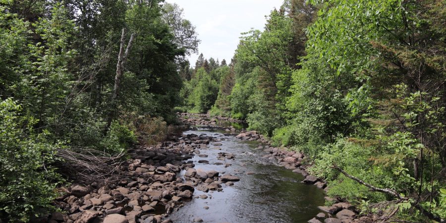 Finland — Finland campground nature