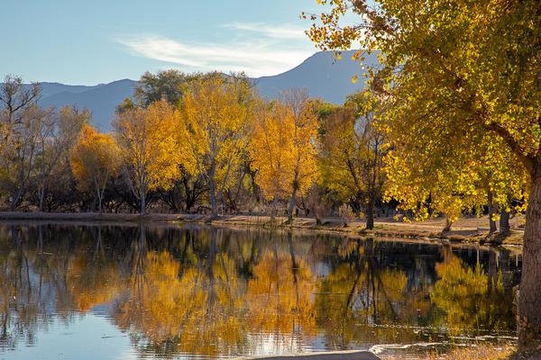 Arizona — Arizona campground nature