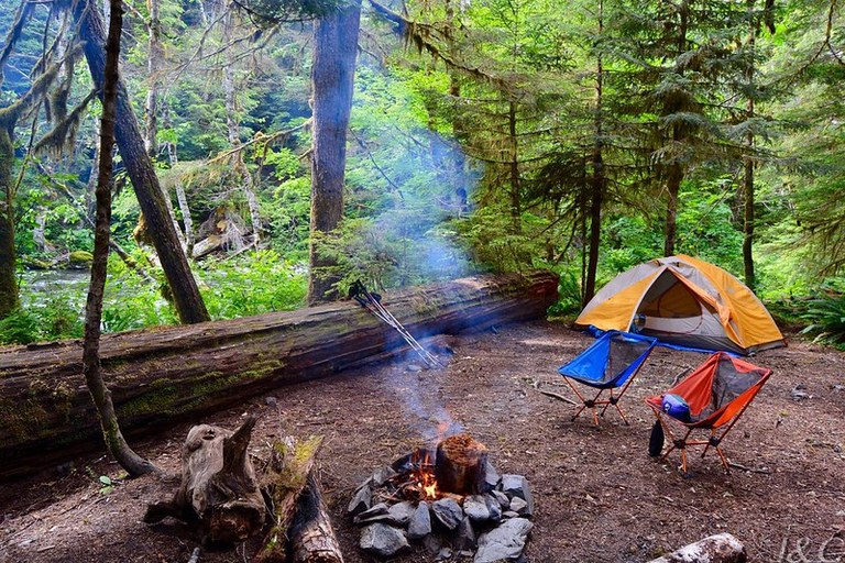 Washington — Washington campground nature