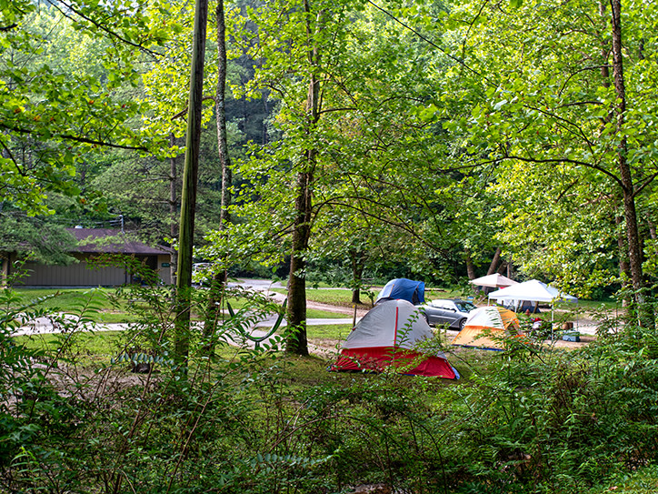 Kentucky — Kentucky campground nature
