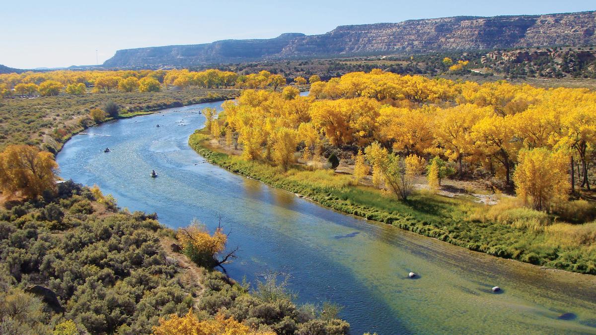 New Mexico — New Mexico campground nature