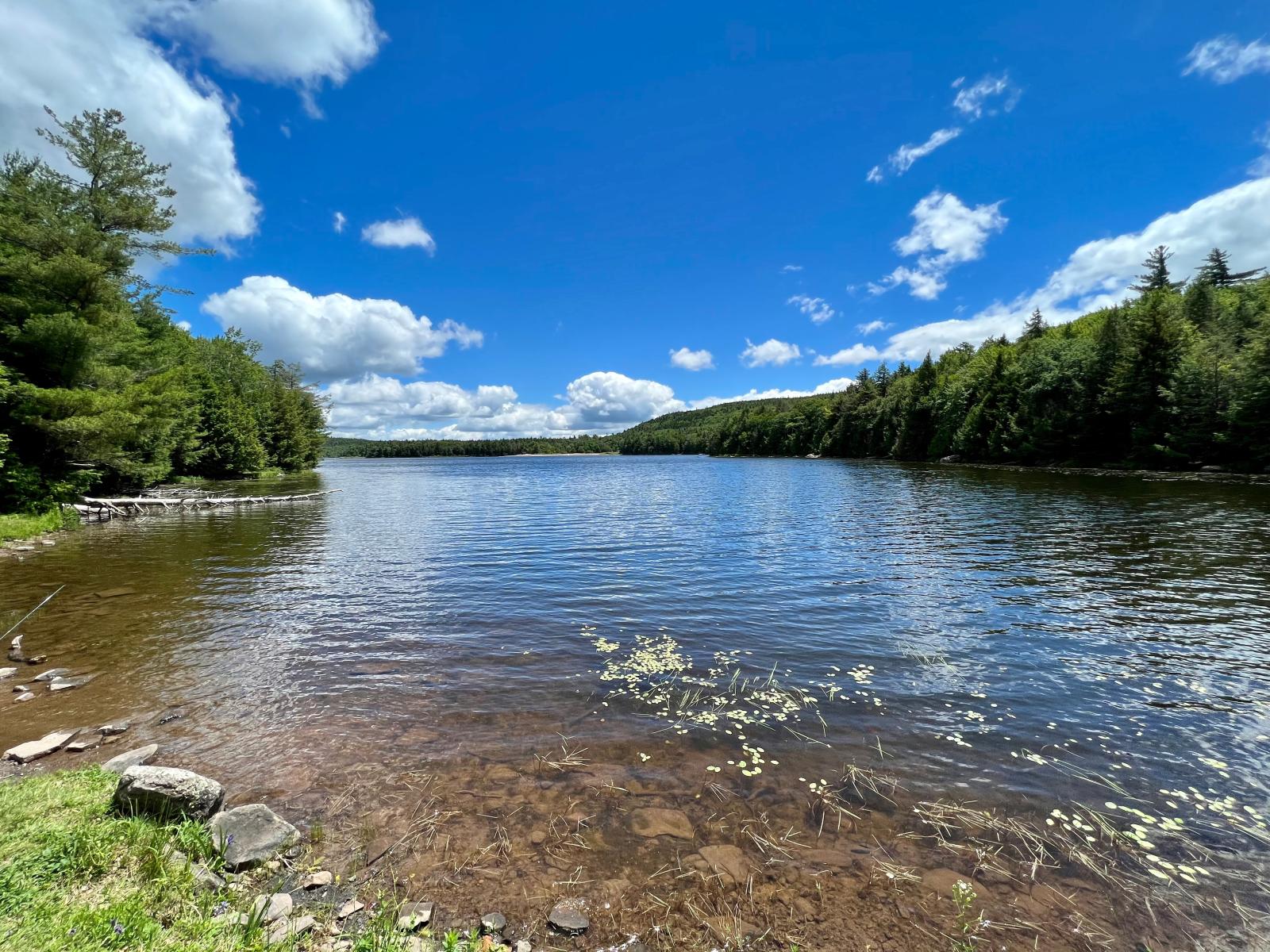 New York — New York campground nature