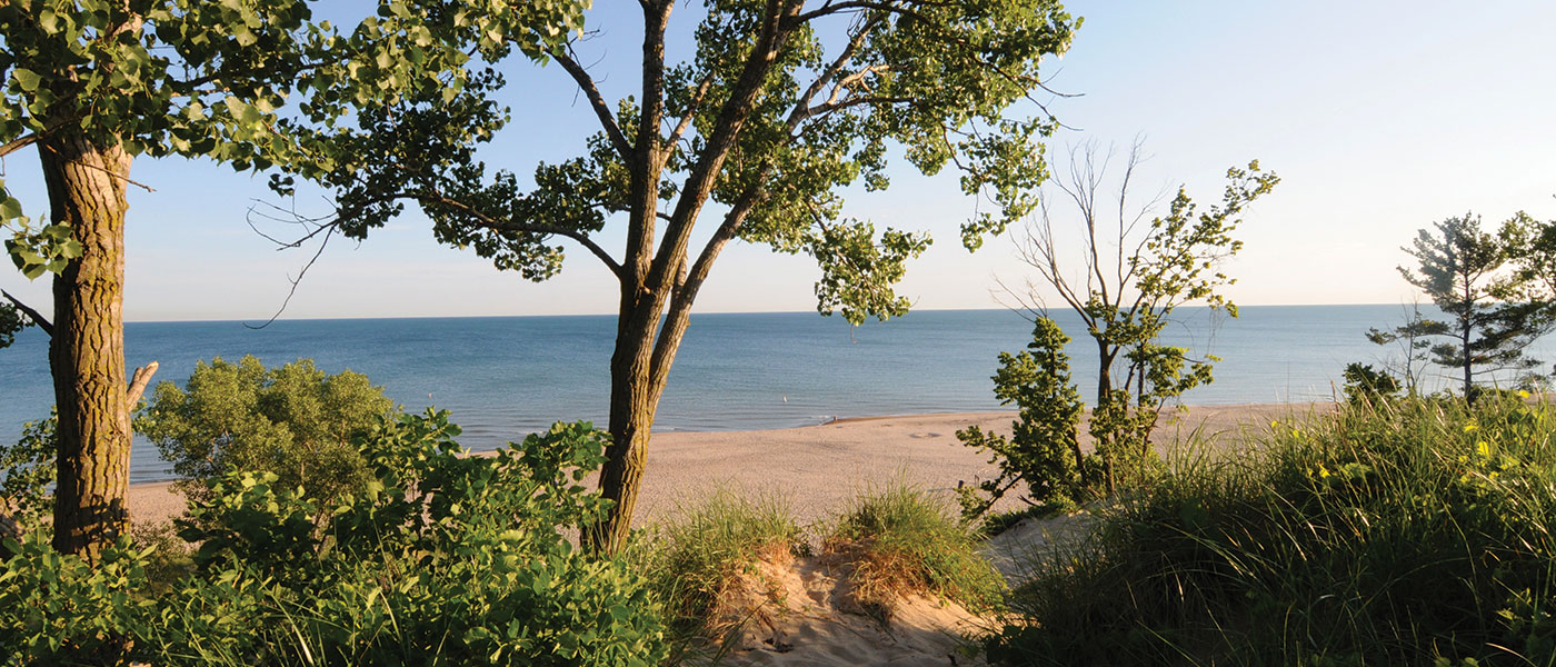 Indiana — Indiana campground nature
