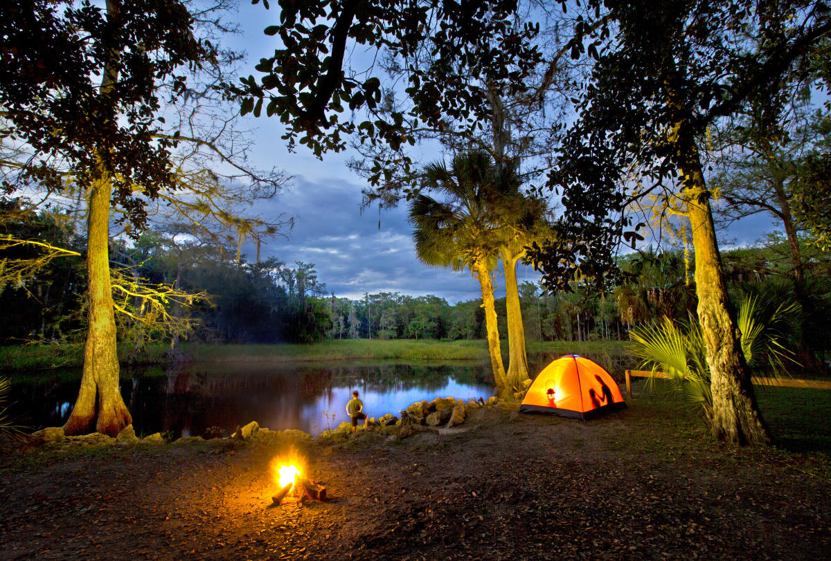 Florida — Florida campground nature