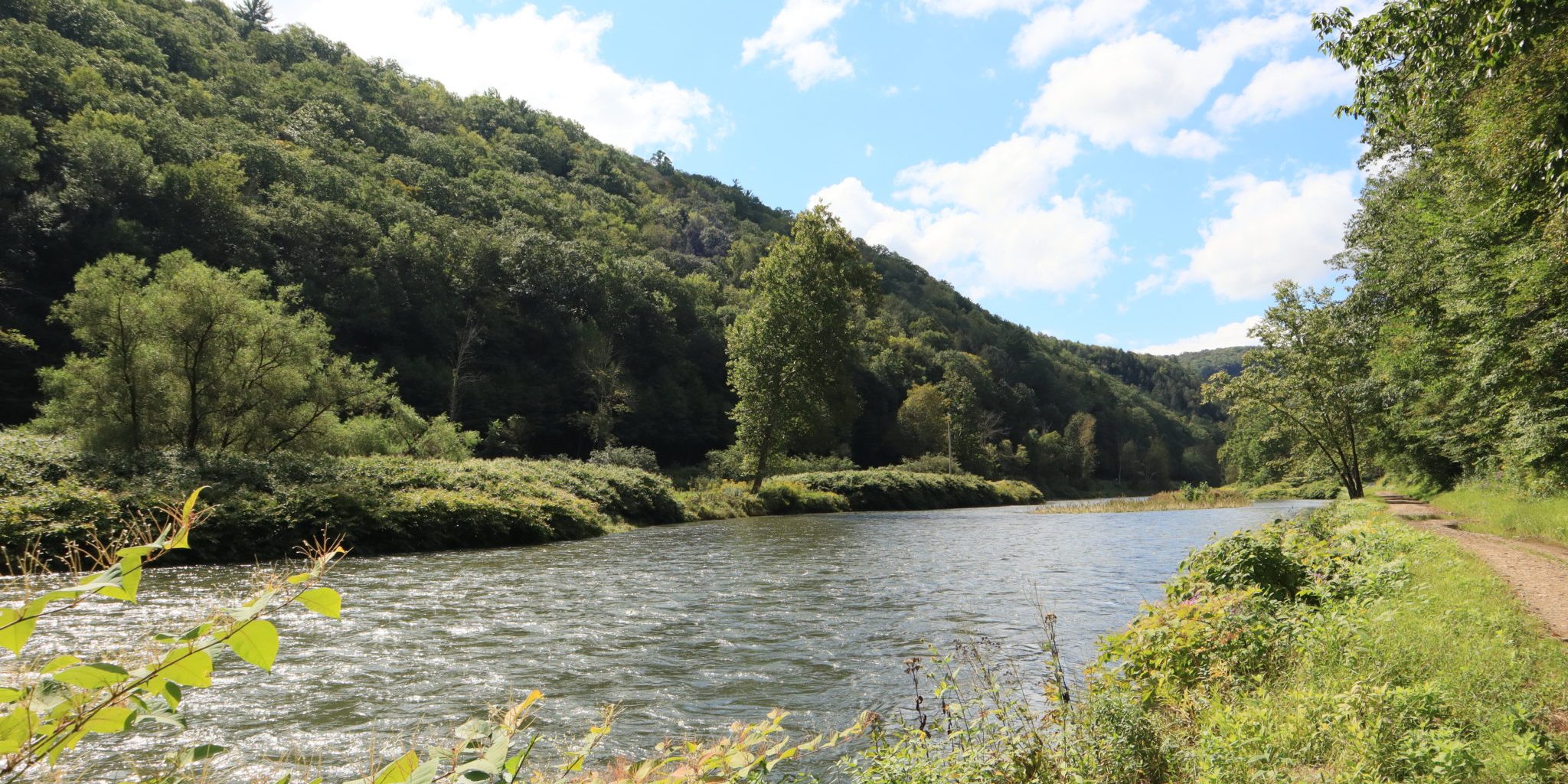 Pennsylvania — Pennsylvania campground nature