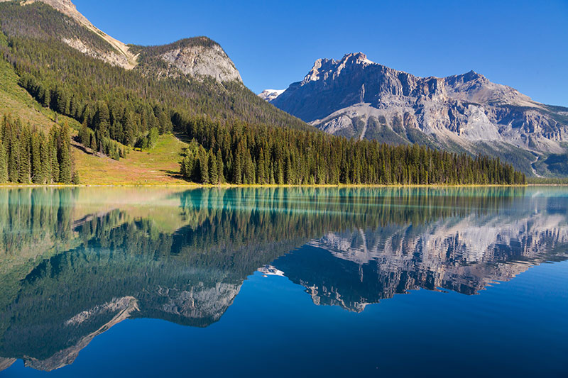 British Columbia — British Columbia campground nature