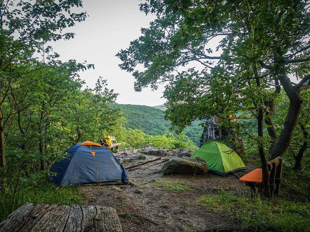 Hungary — Hungary campground nature