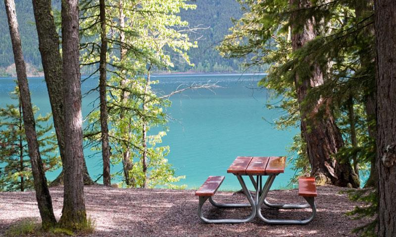 Montana — Montana campground nature