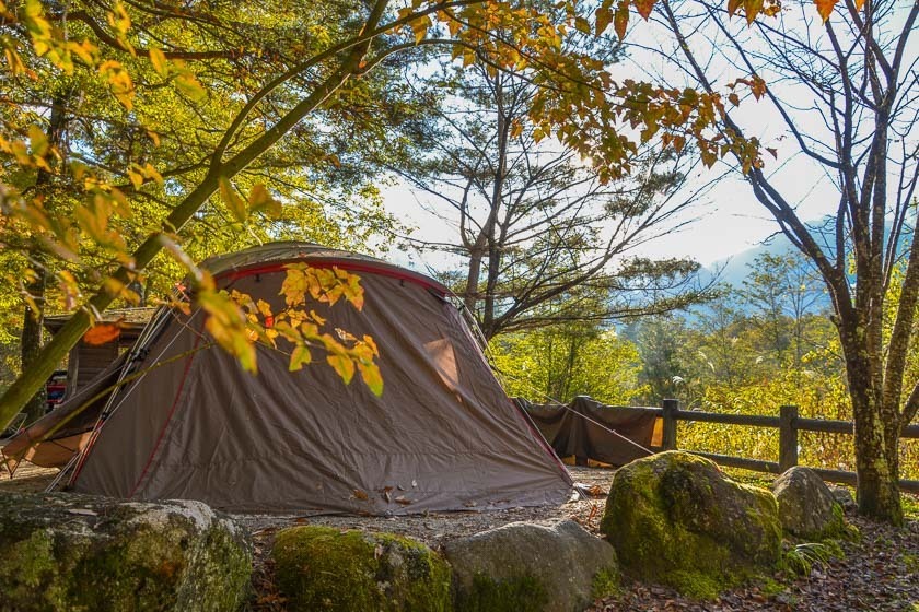 Japan — Japan campground nature