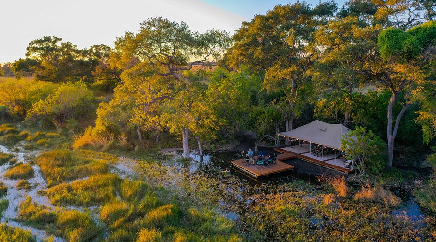 Botswana — Botswana campground nature