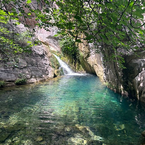 Montenegro — Montenegro campground nature