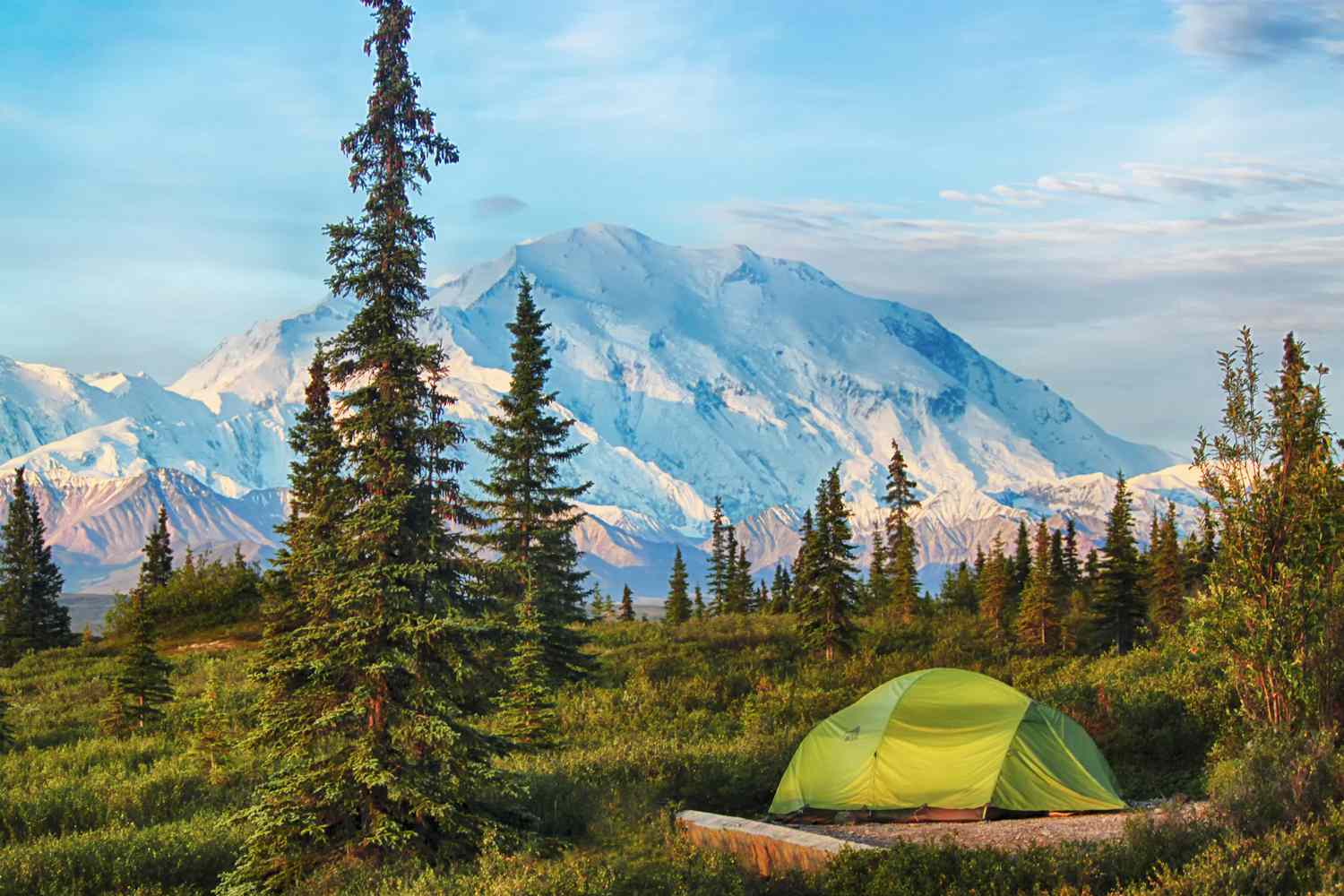 USA — USA campground nature