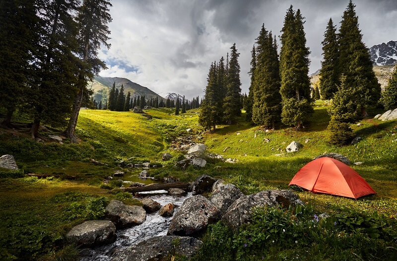 Europe — Europe campground nature
