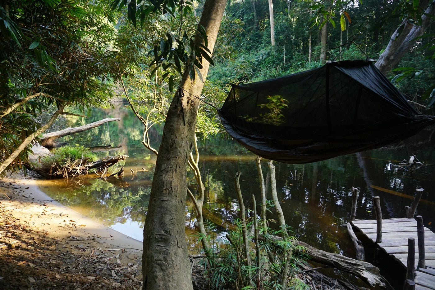 Asia — Asia campground nature
