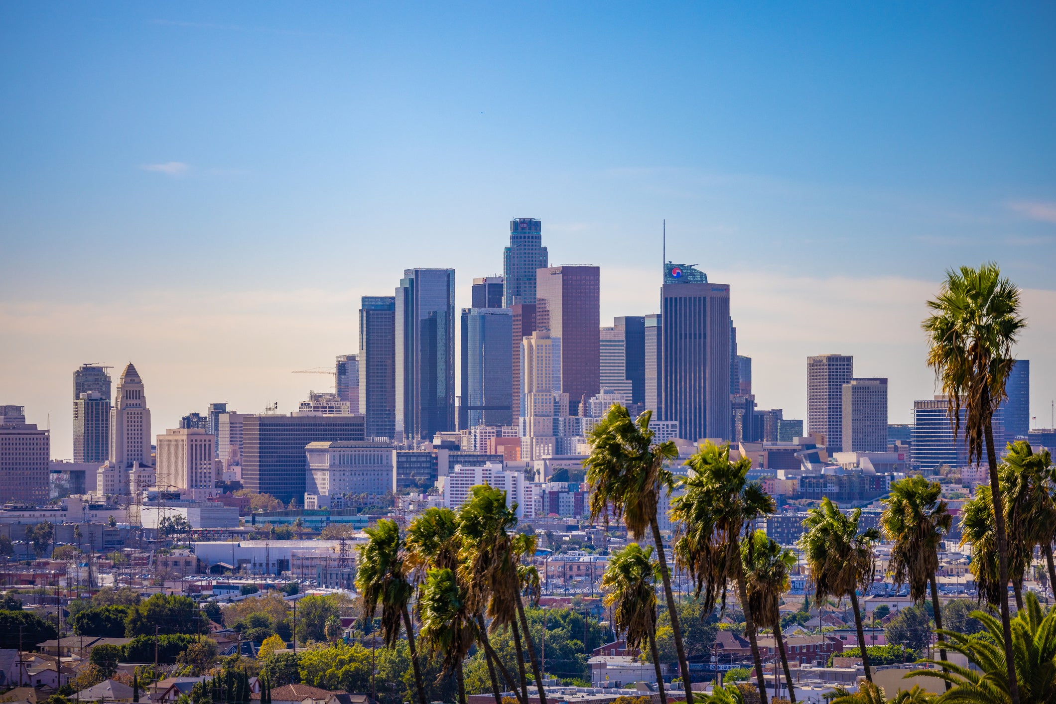Overlook of the sprawling Los Angeles cityscape from a viewpoint in the hills