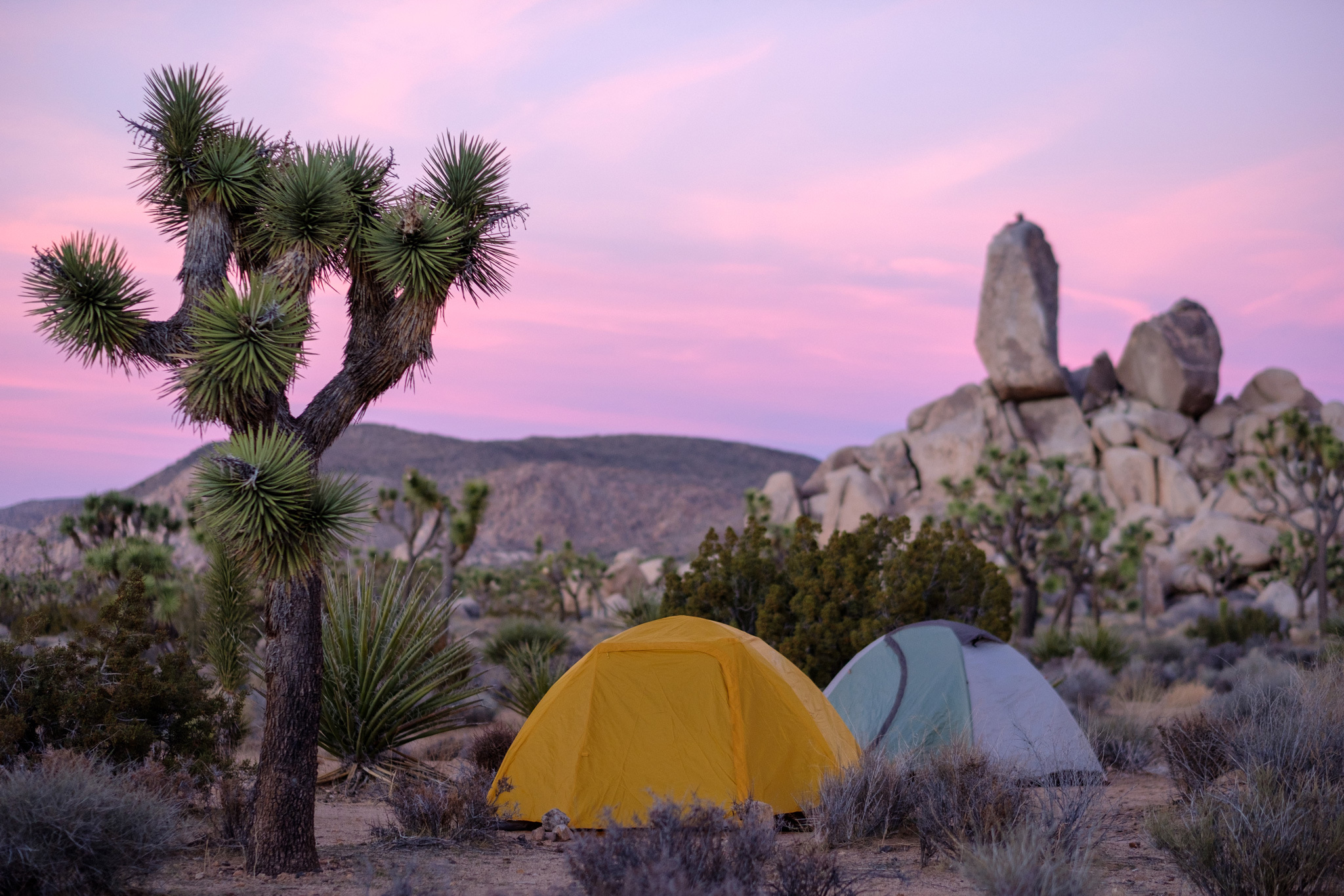 RV parked at a scenic campground near Los Angeles