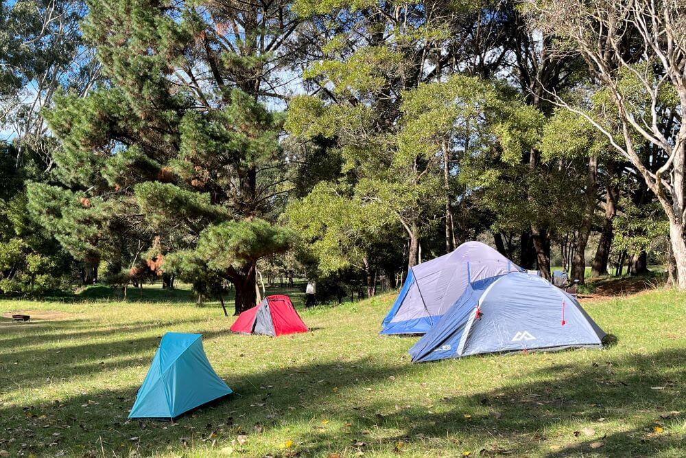 A serene campground nestled in the Adelaide Hills