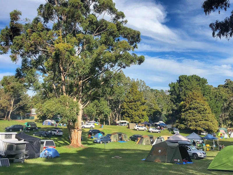 Lush greenery at a caravan park in the Adelaide Hills