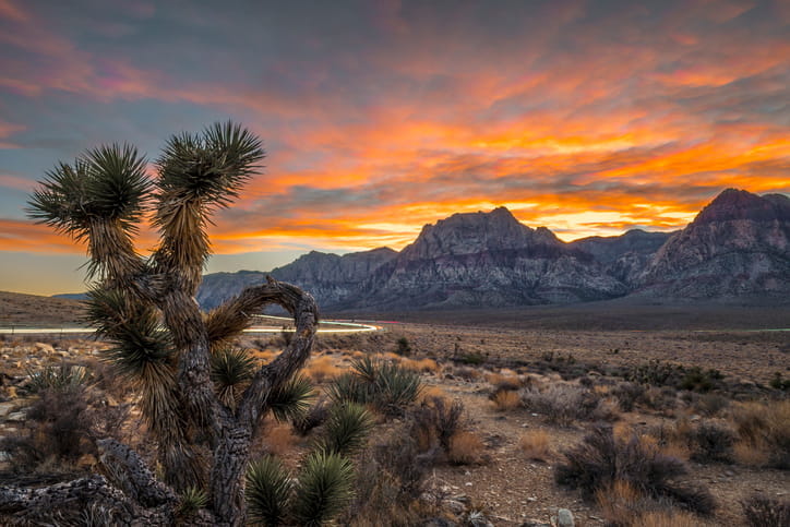 A motorhome driving on a scenic road through the red rock canyons near Las Vegas.