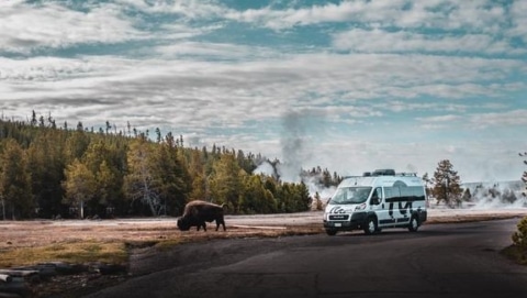 A rental RV parked on a scenic road with bison nearby, typical of Utah's wildlife