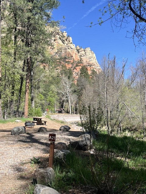 Rivoli — Rivoli campground nature