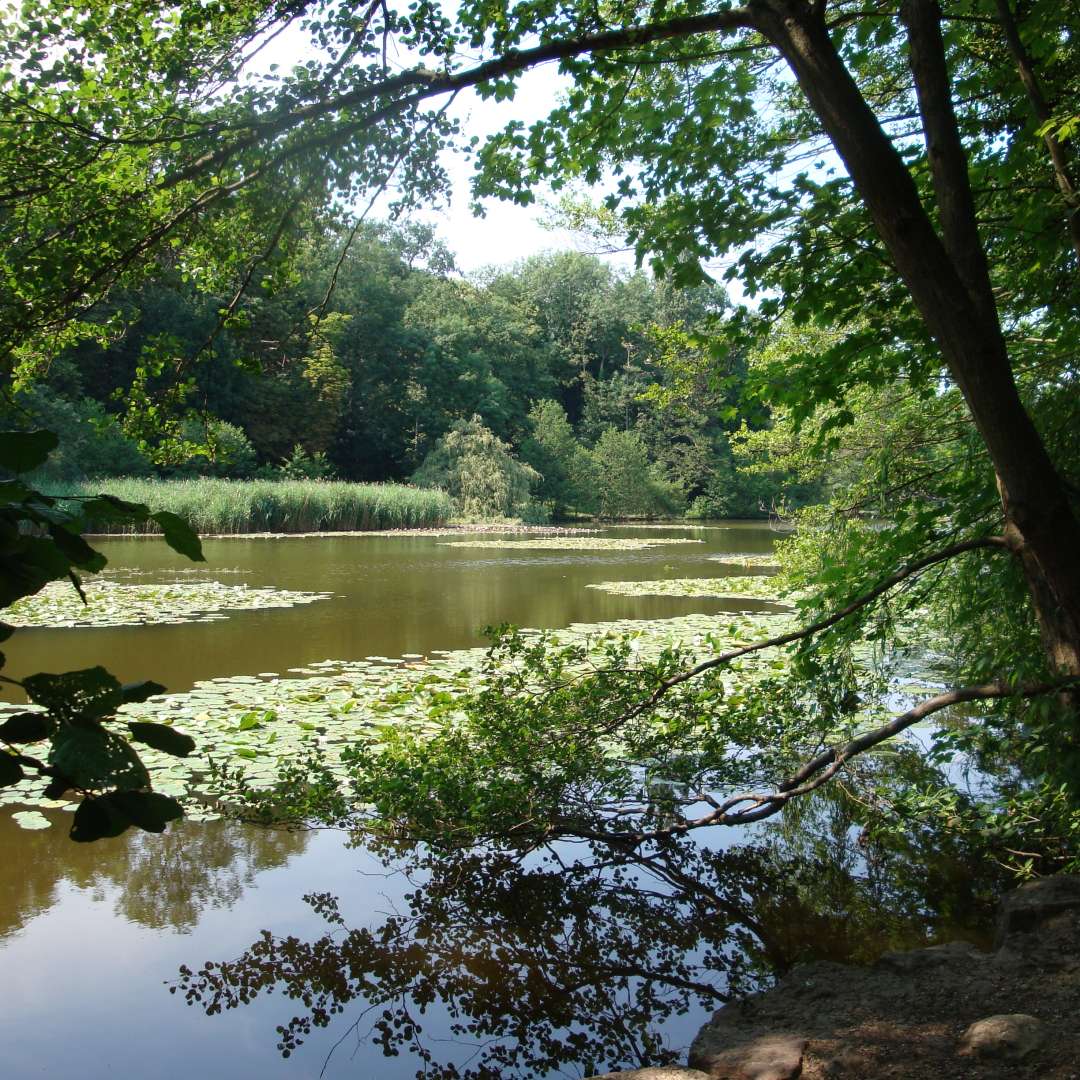 Rueil Malmaison — Rueil Malmaison campground nature
