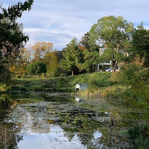 Roslyn (New York) — Roslyn (New York) campground nature