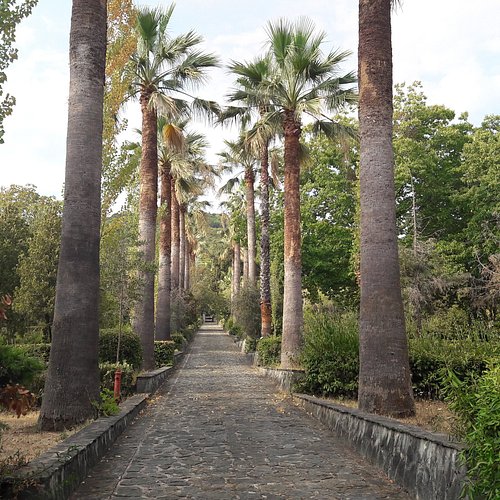 Lamezia Terme — Lamezia Terme campground nature