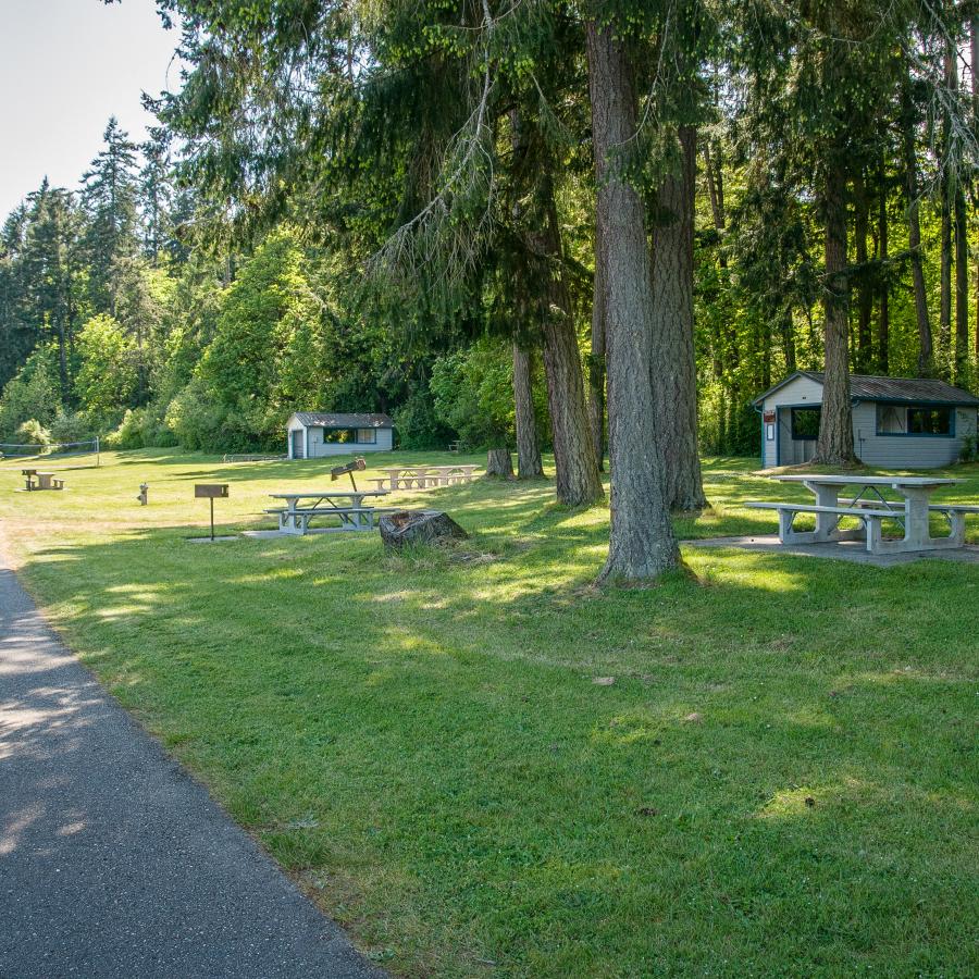 Manchester — Manchester campground nature