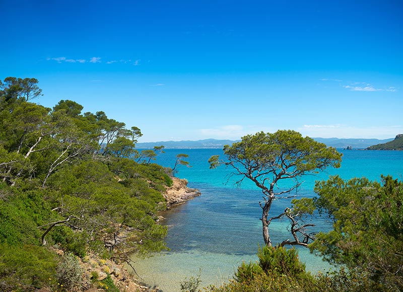 Toulon - Hyères Airport — Toulon - Hyères Airport campground nature