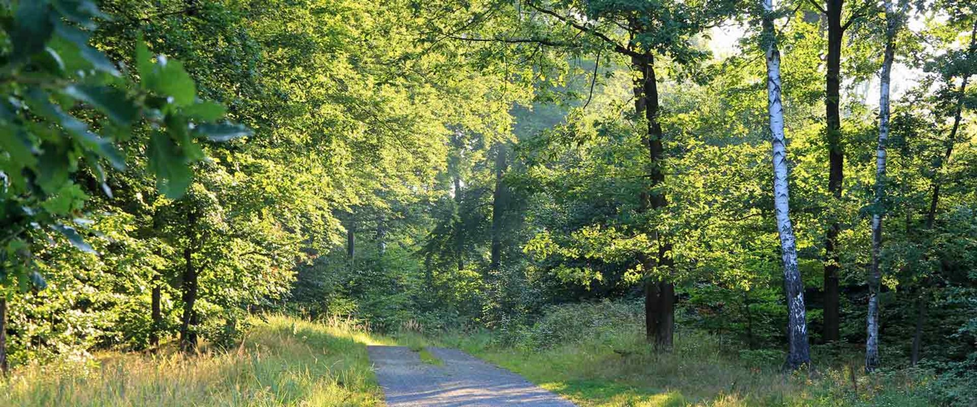Lutherstadt Wittenberg — Lutherstadt Wittenberg campground nature
