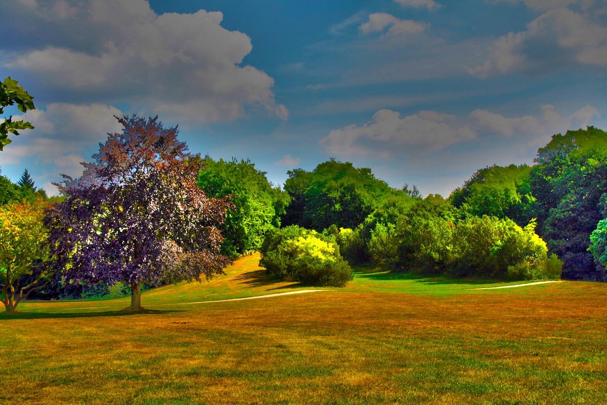Bocholt — Bocholt scenic landscape travel
