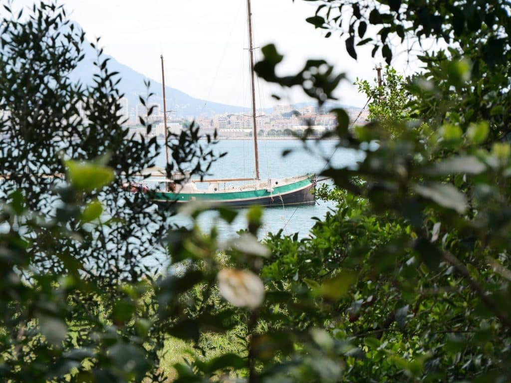 La Seyne sur Mer — La Seyne sur Mer campground nature