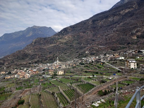 Carema — Carema scenic landscape travel