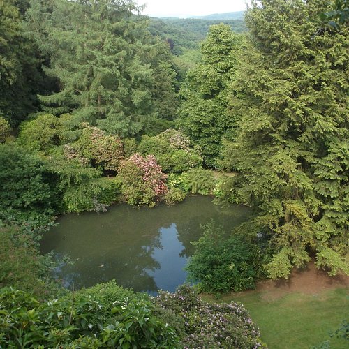 Wuppertal — Wuppertal campground nature