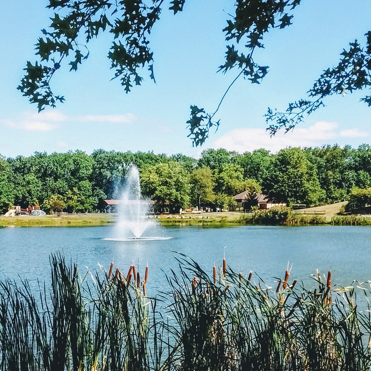 Mt. Laurel — Mt. Laurel campground nature