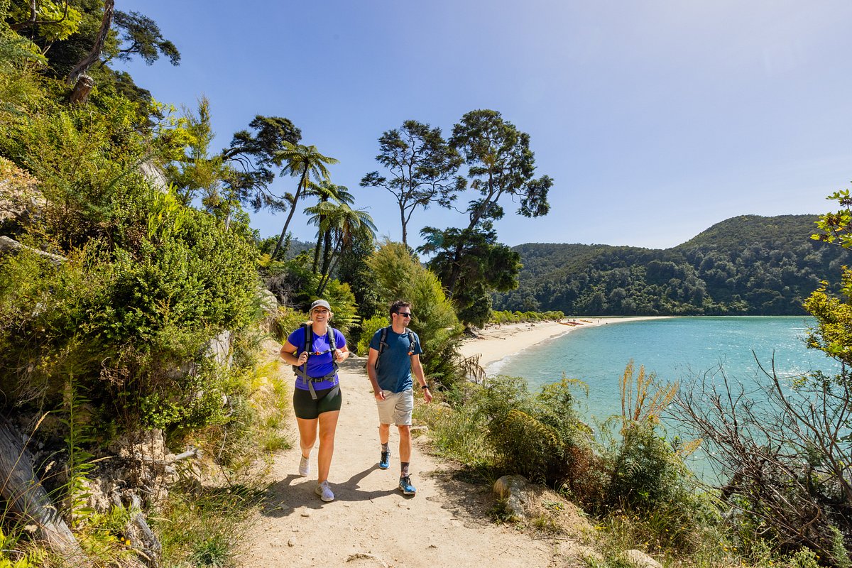 Auckland - letiště — Auckland - letiště kemp příroda