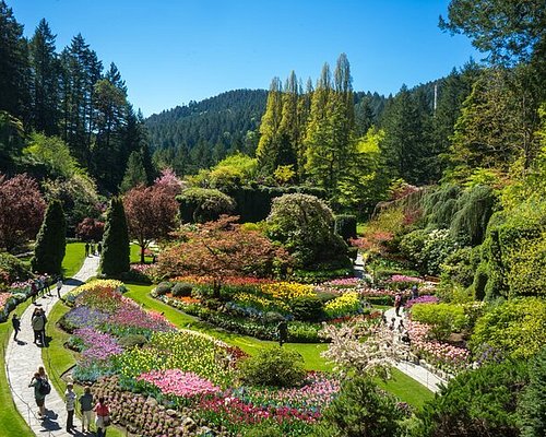 Langley — Langley scenic landscape travel