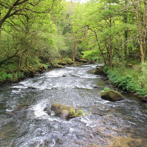 Quimper — Quimper campground nature